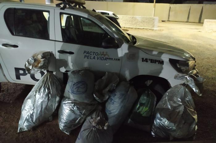Polícia Militar apreende 110 kg de maconha em Betânia, no Sertão