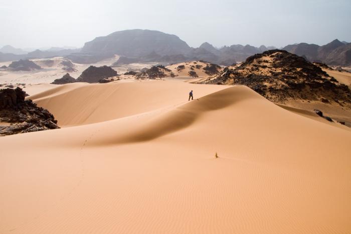 Saara: O maior deserto do mundo pode ficar cheio de vida novamente